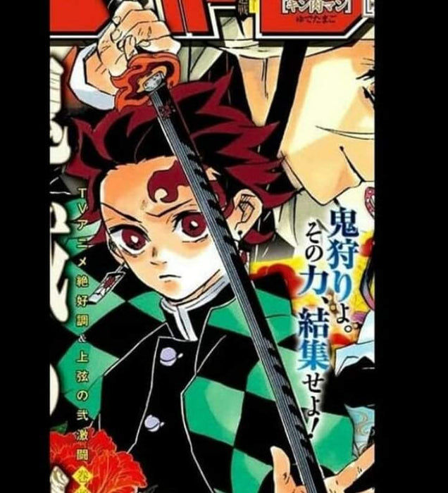 Metal Sword - Demon Slayer - Tanjiro Kamado's Latest/Final Nichirin Taichi V3 343B/3021