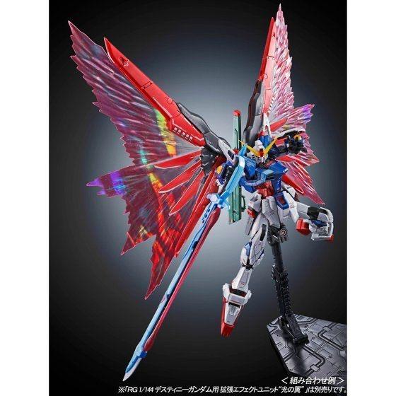 PRE-ORDER RG 1/144 Gundam Seed Destiny Gundam Titanium Finish Limited