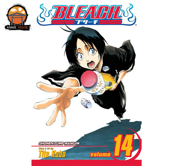 BLEACH MANGA books set