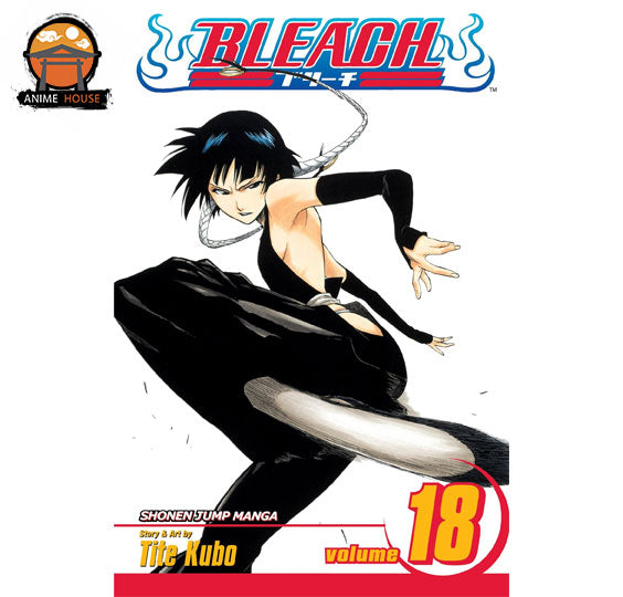 BLEACH MANGA books set