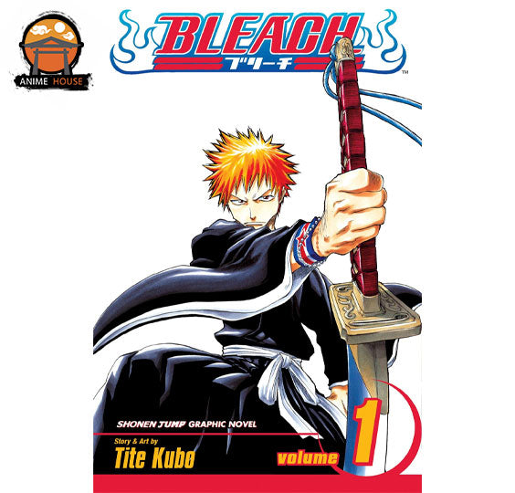 BLEACH MANGA books set