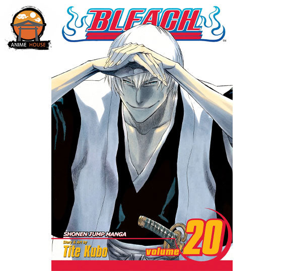 BLEACH MANGA books set