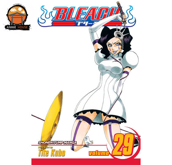 BLEACH MANGA books set