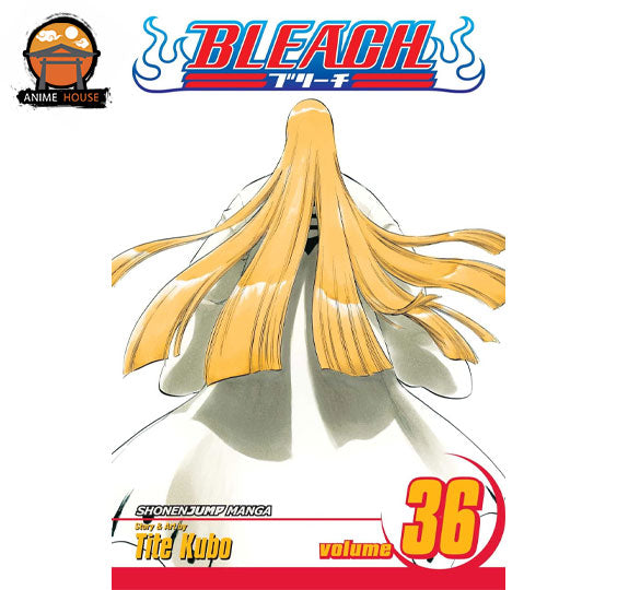 BLEACH MANGA books set