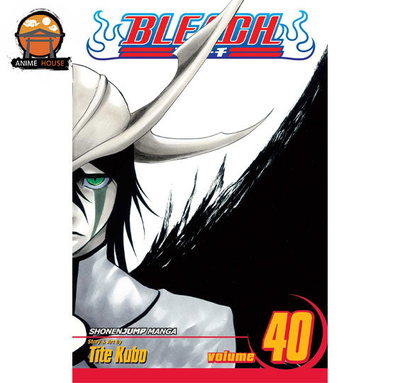 BLEACH MANGA books set