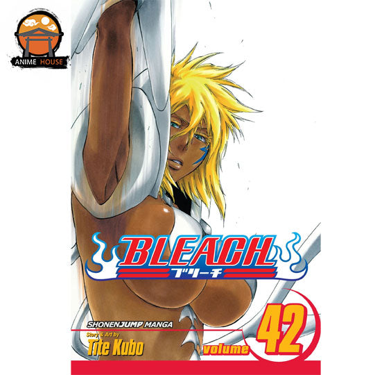 BLEACH MANGA books set