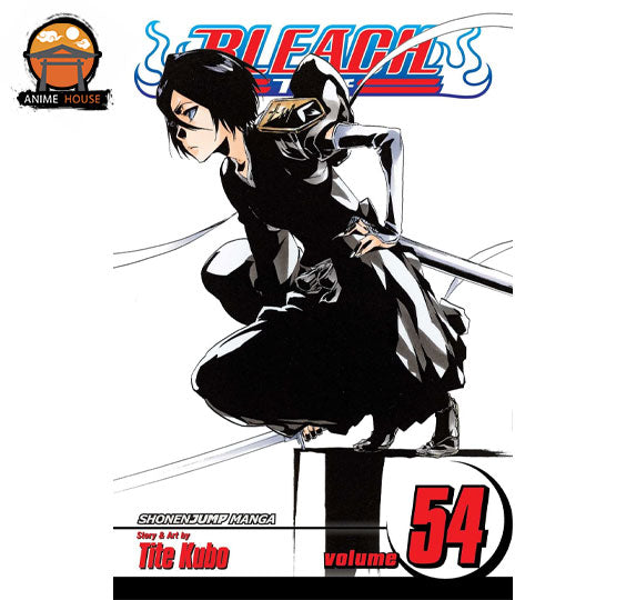 BLEACH MANGA books set