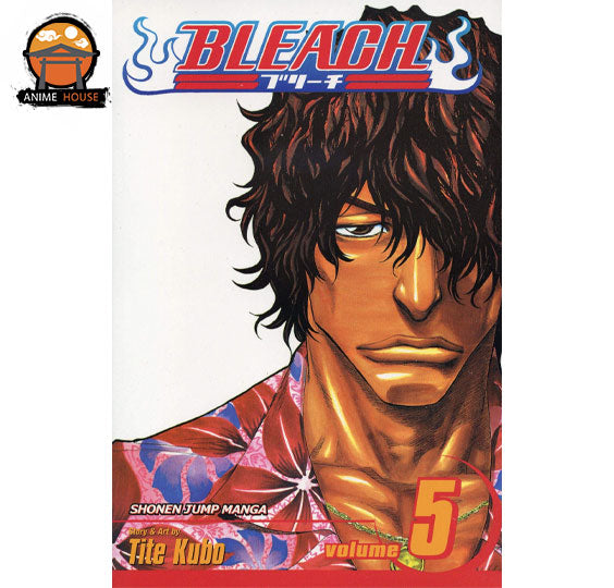 BLEACH MANGA books set