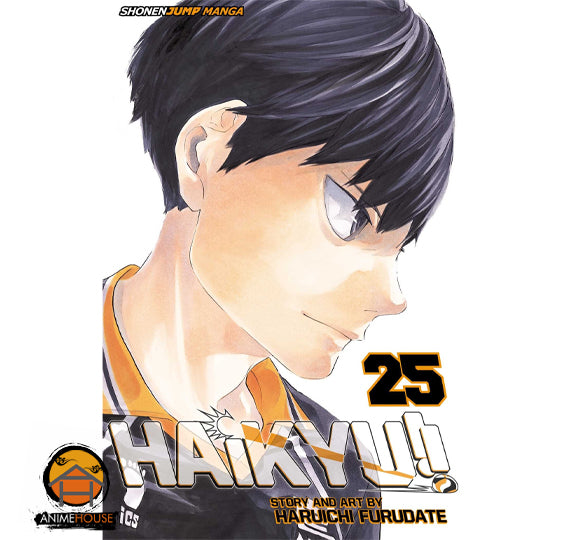 Haikyu!!  Manga Book