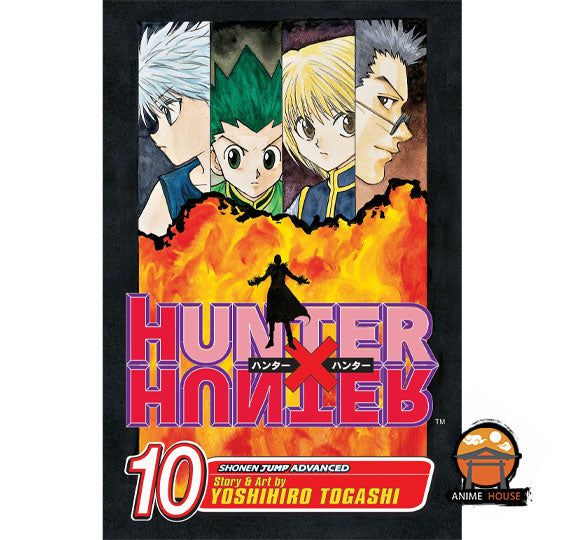 HUNTER X HUNTER manga books